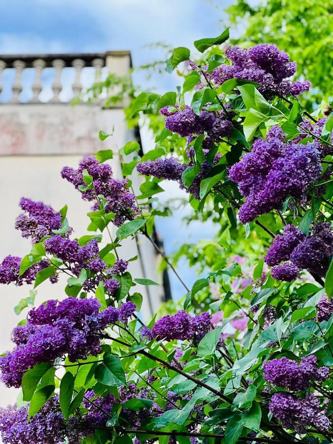 Bed and Breakfast Le Talisman Saint-Germain-en-Laye Exterior foto